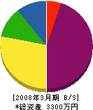 椙山工務店 貸借対照表 2008年3月期