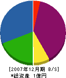 辻村工芸 貸借対照表 2007年12月期