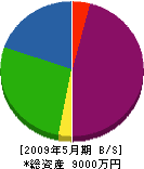 斉藤板金 貸借対照表 2009年5月期