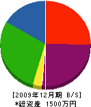 玉田組 貸借対照表 2009年12月期