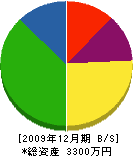 鈴木惠雄 貸借対照表 2009年12月期