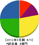 田辺電機 貸借対照表 2012年8月期