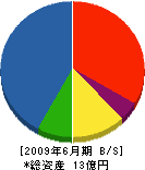 志多木組 貸借対照表 2009年6月期