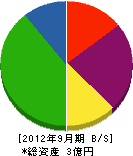 松本機械製作所 貸借対照表 2012年9月期