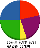 伸松建設 貸借対照表 2008年10月期