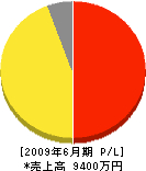 松枝興業 損益計算書 2009年6月期