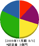 谷村工業 貸借対照表 2009年11月期