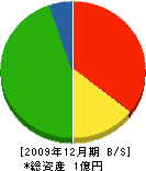 関西総合緑地 貸借対照表 2009年12月期