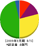 兼田 貸借対照表 2009年8月期