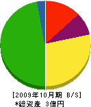 清栄 貸借対照表 2009年10月期
