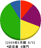 大阪創美 貸借対照表 2009年6月期 大阪創美 貸借対照表 2009年6月期