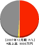 中嶋建設 損益計算書 2007年12月期