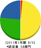 塚原石産興業 貸借対照表 2011年1月期