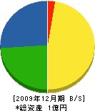 誠陽建設 貸借対照表 2009年12月期