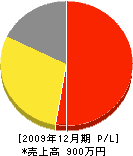 杉野塗装店 損益計算書 2009年12月期