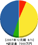 林(佐)組 貸借対照表 2007年12月期 林(佐)組 貸借対照表 2007年12月期