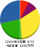 ヤジマ設備工業 貸借対照表 2009年4月期