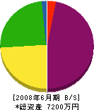 辻鉄工 貸借対照表 2008年6月期