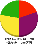 斉藤トタン店 貸借対照表 2011年12月期