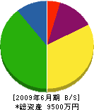 松浦工務店 貸借対照表 2009年6月期