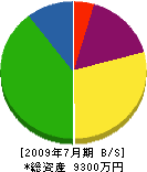 石田建設 貸借対照表 2009年7月期