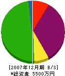 江洲土建 貸借対照表 2007年12月期