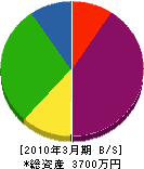 松田電気商会 貸借対照表 2010年3月期