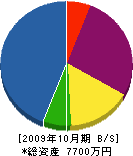 石合塗装店 貸借対照表 2009年10月期