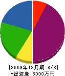 岡本設備工業所 貸借対照表 2009年12月期