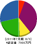 東井上建設 貸借対照表 2011年7月期