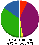 渡辺商会 貸借対照表 2011年9月期