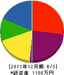 琉進工業 貸借対照表 2011年12月期