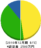 川崎組 貸借対照表 2010年12月期