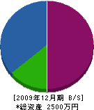 インテリア桜井 貸借対照表 2009年12月期