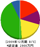 櫻木建設 貸借対照表 2009年12月期