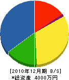 岩元造園 貸借対照表 2010年12月期