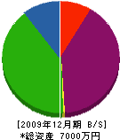 福島商店 貸借対照表 2009年12月期