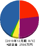 湯畑工業 貸借対照表 2010年12月期