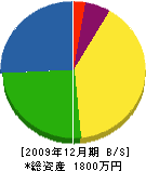 新倉電気 貸借対照表 2009年12月期