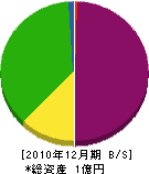 桝田組 貸借対照表 2010年12月期