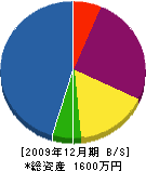 渡邉植木 貸借対照表 2009年12月期