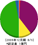九州造園建設 貸借対照表 2009年12月期