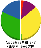 高井電気商会 貸借対照表 2009年12月期