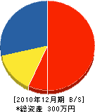 前田電気 貸借対照表 2010年12月期