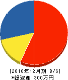 前田電気 貸借対照表 2010年12月期 前田電気 貸借対照表 2010年12月期