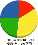 窪田造園 貸借対照表 2009年12月期