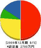 飯川組 貸借対照表 2009年12月期