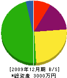 武田工業 貸借対照表 2009年12月期