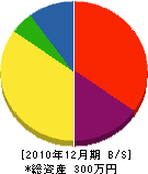 山崎建設 貸借対照表 2010年12月期