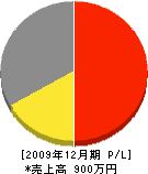 上田電気商会 損益計算書 2009年12月期